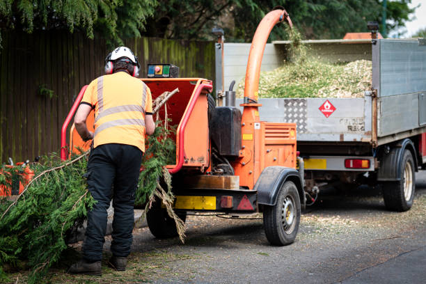 Best Residential Tree Removal  in Tatum, TX